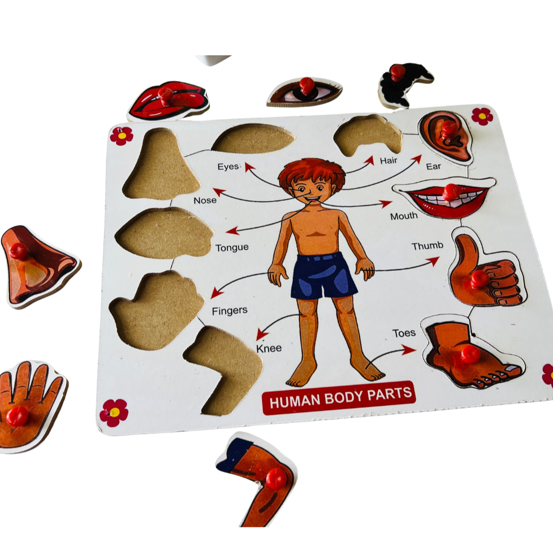 Wooden Human Body Parts Puzzle - 10 Piece Learning
